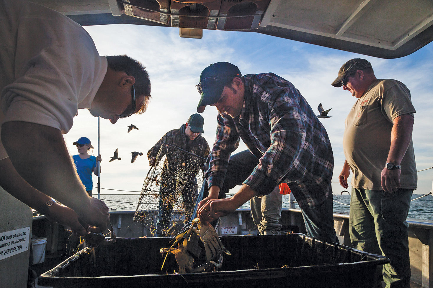 Crabbing field trip